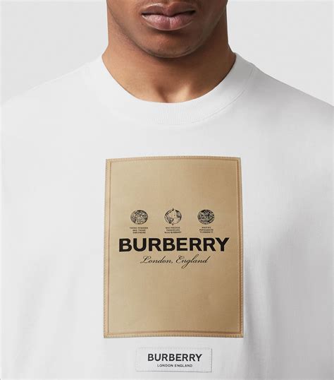 burberry t-shirt herren sale|burberry t shirt cost.